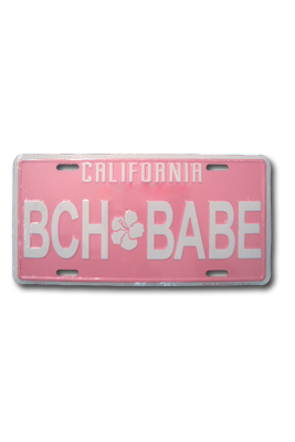 Laguna Beach License Plates and Frames at Fawn Memories